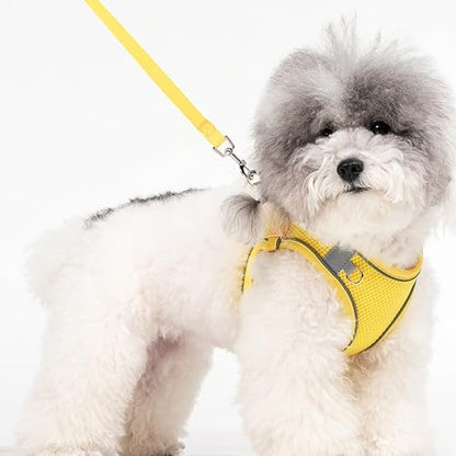 Dog Harness for Small Medium Sized Dog, Puppy Harness and Leash Set Training - Image 2