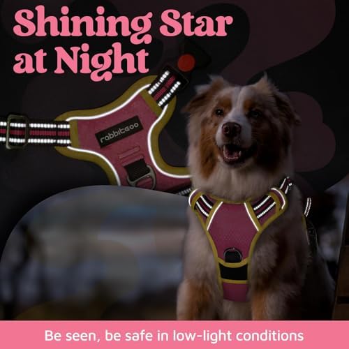 rabbitgoo Dog Harness Small Sized, No Pull 3 Buckles Easy On & Off - Image 6