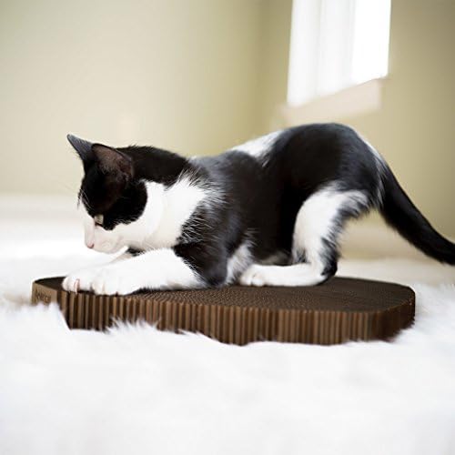 Cat Scratcher by Americat – Made in USA Cardboard Scratching Pad & Lounger – X - Image 7
