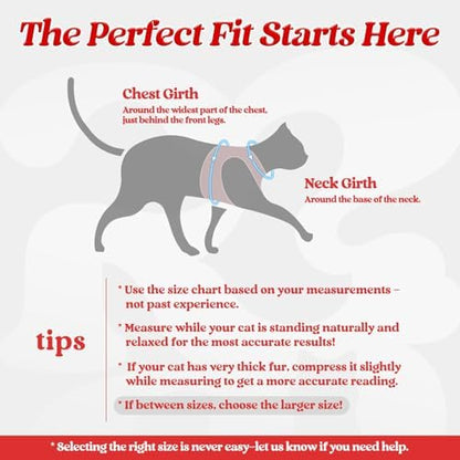 rabbitgoo Cat Harness and Leash Set, Step-in Soft Vest - Image 2