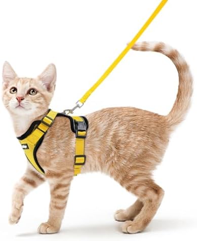 rabbitgoo Cat Harness and Leash Set, Escape Proof Vest by rabbitgoo
