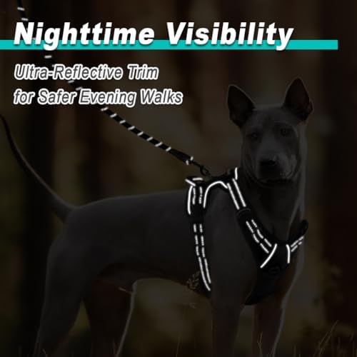 BARKBAY Dog Harness for Medium Sized Dog No Pull 2 Leash Clips Dog Vest - Image 5