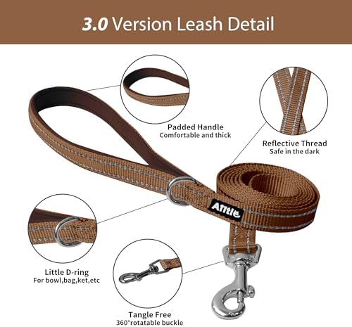 AIITLE Medium Dog Harness and Leash Set, Step-in Puppy Pet Vest - Image 6