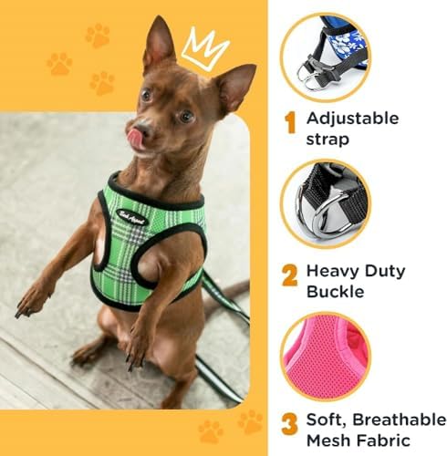 Bark Appeal Red Hibiscus Step-in Dog Harness - Image 4