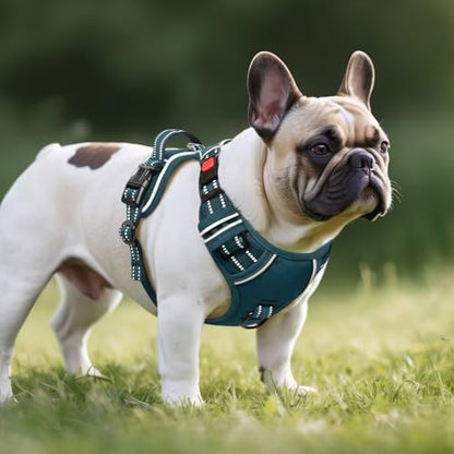 Timos Small Dog Harness, No Pull No Choke, Easy On & Off - Image 6