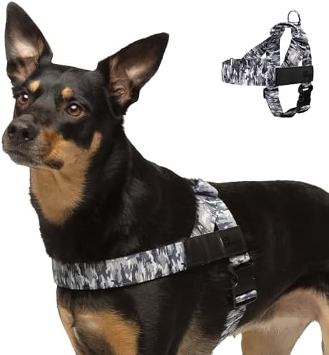 Dog Friendly Co. Dog Harness for Small Dogs by DogFriendly