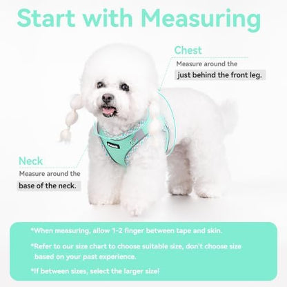 Petank Dog Harness for Small Medium Dogs No Pull, Puppy Harness and Leash Set - Image 4
