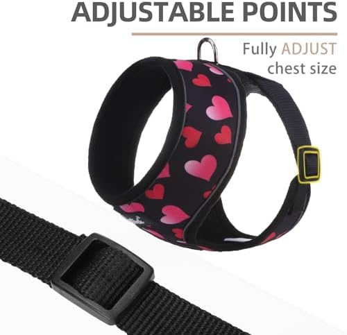 PUPTECK Small Dog Harness and Leash Set No Pull - Image 3