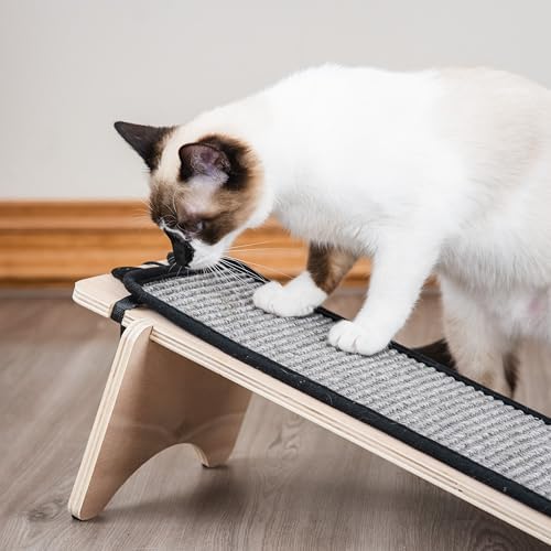 Kitty City Novelty Cat Scratchers - Image 4
