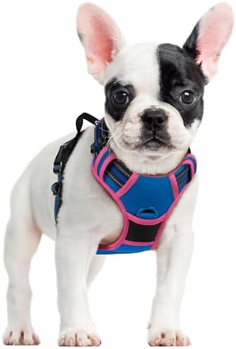 rabbitgoo Dog Harness, No Pull for Small Dogs by rabbitgoo