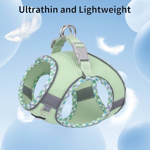AIITLE Small Dog Harness and Leash Set - Image 3
