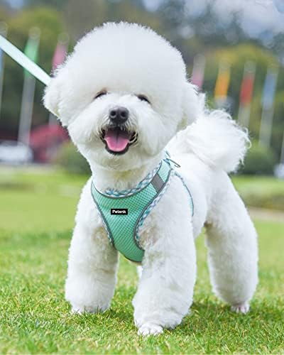 Petank Dog Harness for Small Medium Dogs No Pull, Puppy Harness and Leash Set - Image 2
