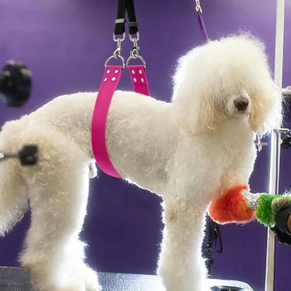Dog Grooming Belly Band - Image 4