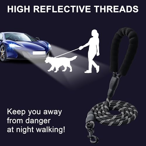 2 Pack Dog Leash, Heavy Duty Nylon Rope Pet Leashes - Image 4