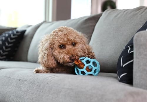 JW Pet HOL-ee Roller Dog Puzzle Ball, Medium 4.5in, Natural Rubber - Image 3