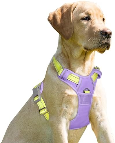 BARKBAY Dog Harness No Pull for Medium Sized Dog Front Back Clips, Dog Vest by BARKBAY