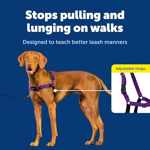 PetSafe Easy Walk Harness, No Pull Dog Harness, Deep Purple - Image 4