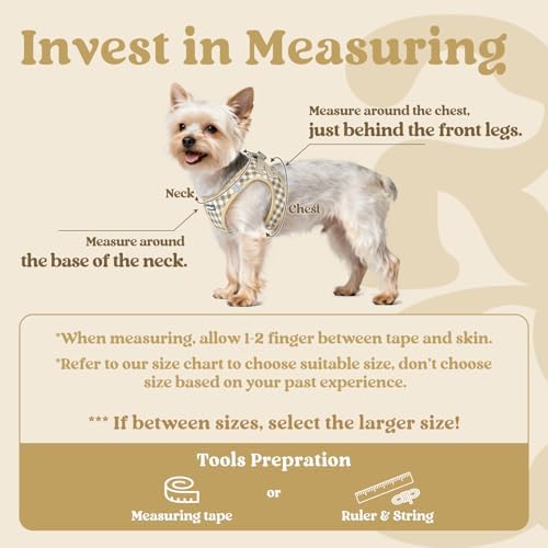 rabbitgoo Step-in Small Dog Harness, Puppy Vest - Image 2