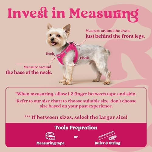 rabbitgoo Step-in Small Dog Harness, Puppy Vest - Image 2