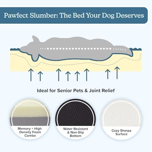 Orthopedic Dog Bed - Image 5