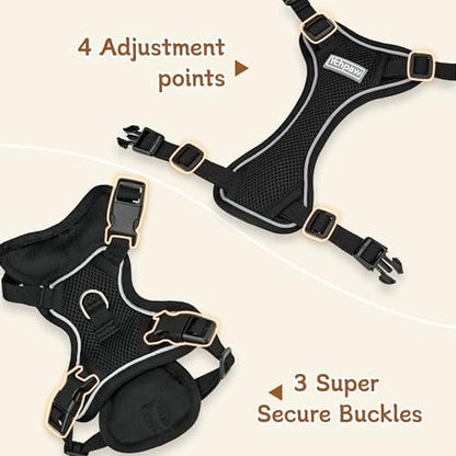 Small Dog Harness and Leash Set, Adjustable Small Sized Pet Vest - Image 3