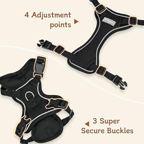Small Dog Harness and Leash Set, Adjustable Small Sized Pet Vest - Image 3