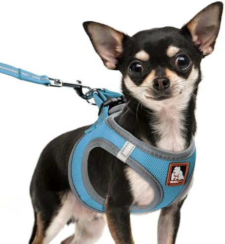 Dog Harness Medium Sized Dogs, Puppy Harness and Leash Set by Unknown