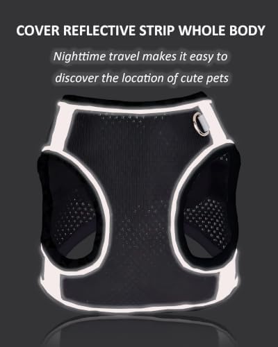 Solmoony Dog Harness for Small Medium Dogs No Pull, Puppy Harness and Leash Set - Image 4