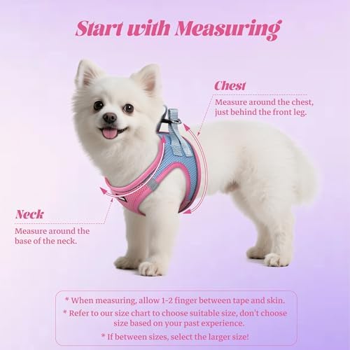 No Pull Dog Puppy Harness and Leash Set Reflective Mesh Vest Large - Image 2