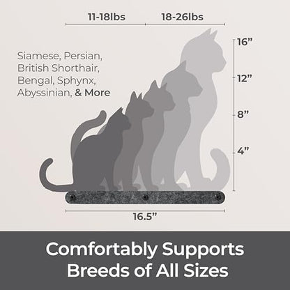 Cat Wall Shelf - Indoor & Outdoor by Pryde Pets - Image 6