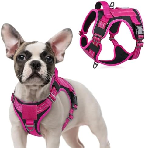 rabbitgoo Tactical Dog Harness for Small, No Pull Military Service Vest by rabbitgoo