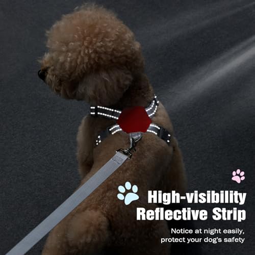 Pawaboo Small Dog Harness and Leash Set, Puppy Harness X-Frame Adjustable - Image 7