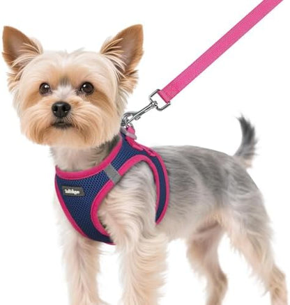 rabbitgoo Dog Harness Small Sized and Leash Set, Step in Soft Vest by rabbitgoo