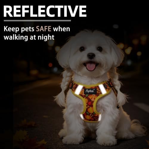 PUPTECK Thanksgiving Dog Harness and Leash Set Small Sized, Step in No Pull - Image 4