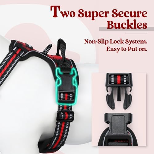 rabbitgoo Dog Harness, No Pull for Large Dogs - Image 3