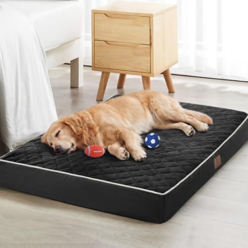 WNPETHOME Orthopedic XXL Dog Beds by WNPETHOMEPETSHOME