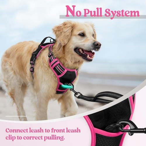 rabbitgoo Dog Harness, No Pull for Large Dogs - Image 5