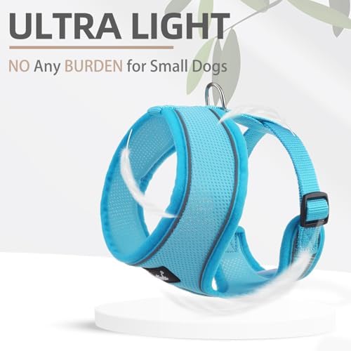 PUPTECK Small Dog Harness and Leash Set No Pull - Image 5