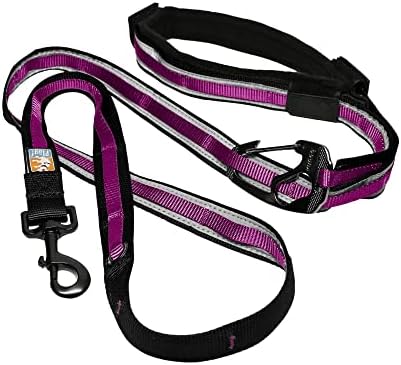 Kurgo Quantum Leash 2.0 by Kurgo