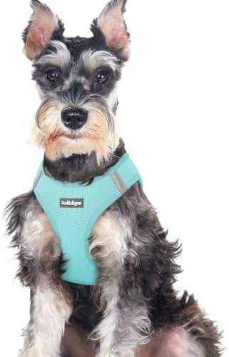 rabbitgoo Step-in Small Dog Harness, Puppy Vest by rabbitgoo