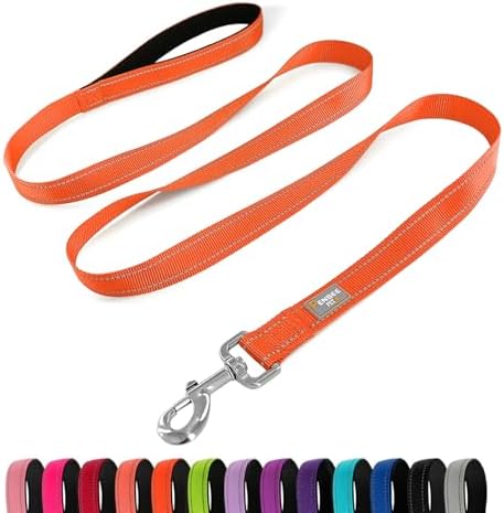6 FT Basic Dog Leash for Medium Dogs by Penseepet