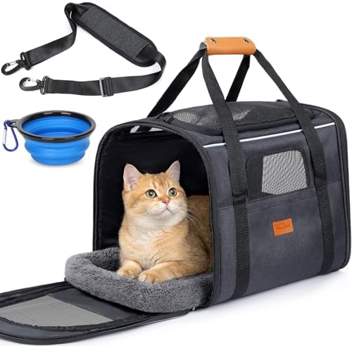 Morpilot Pet Carrier for Large Cats, Puppies & Small Dogs Up to 25lbs by Morpilot
