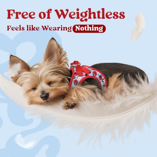 rabbitgoo Step-in Small Dog Harness, Puppy Vest - Image 4