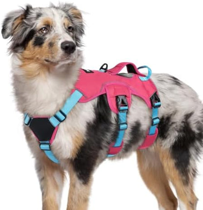 rabbitgoo Escape Proof Dog Harness by rabbitgoo
