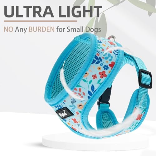 PUPTECK Small Dog Harness and Leash Set No Pull - Image 5