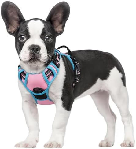 rabbitgoo Dog Harness, No Pull for Small Dogs by rabbitgoo