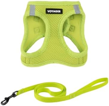 Voyager Step-in Air Cat Harness & Leash Set by BestPetSuppliesLLC