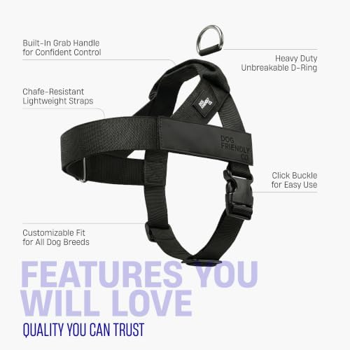 Dog Friendly Co. Dog Harness for Medium Sized Dogs - Image 5