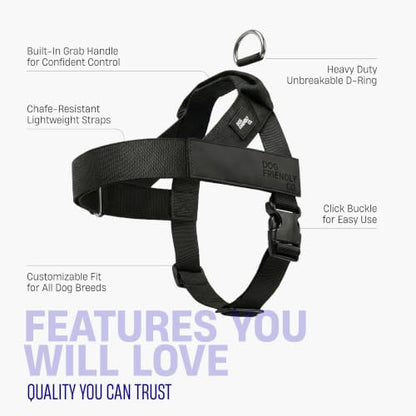 Dog Friendly Co. Dog Harness for Medium Sized Dogs - Image 5