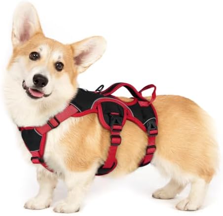 rabbitgoo Escape Proof Dog Harness by rabbitgoo